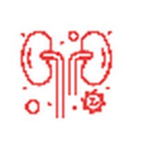 Urogenital