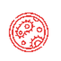 Bacteriology