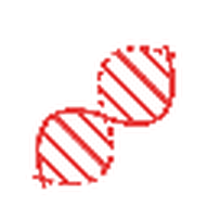 Genetics